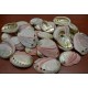 Conchiglia Haliotis Rufeschens grezza naturale